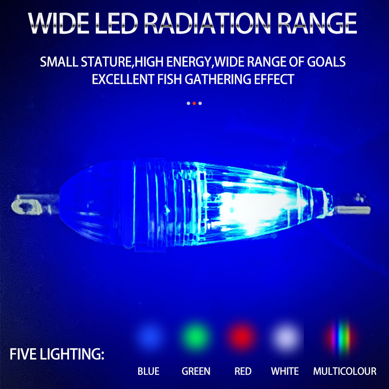 ShareShark 5 pz/busta Luce LED - Fish Alarm recensione e prezzo