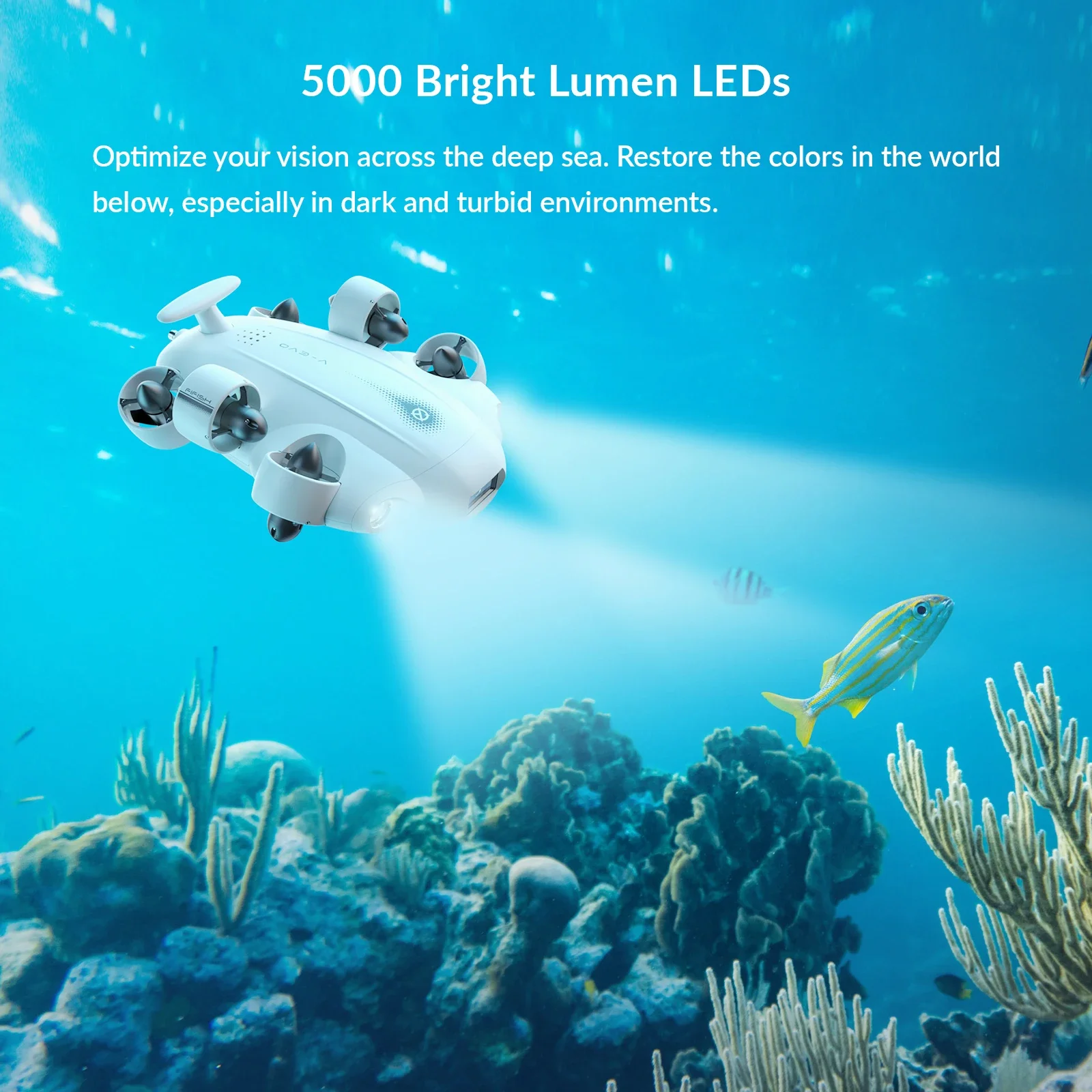 Telecamera Subacquea Premium F - Underwater Camera recensione e prezzo